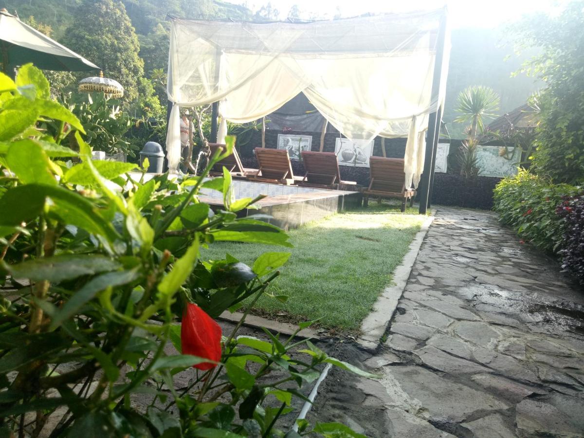 Bunbulan Hill Hostel&Villa Kintamani Exteriör bild